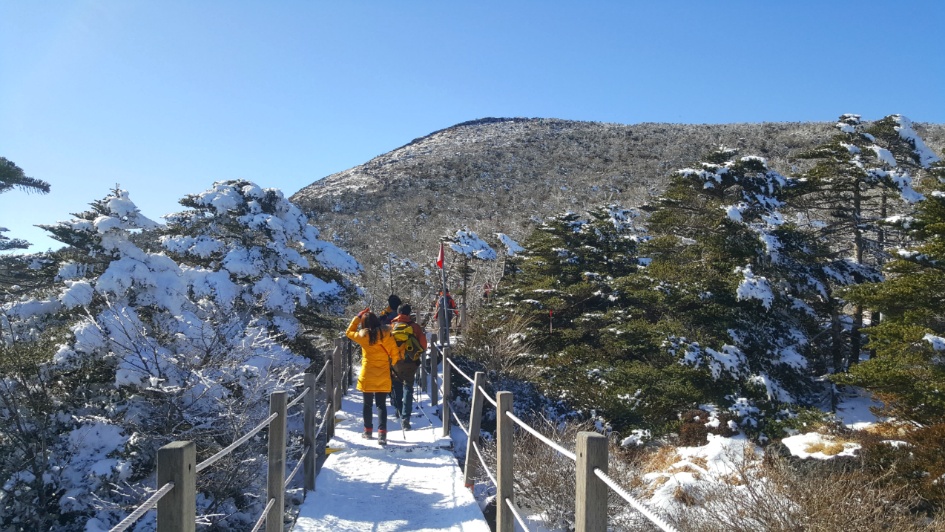 한라산 이미지