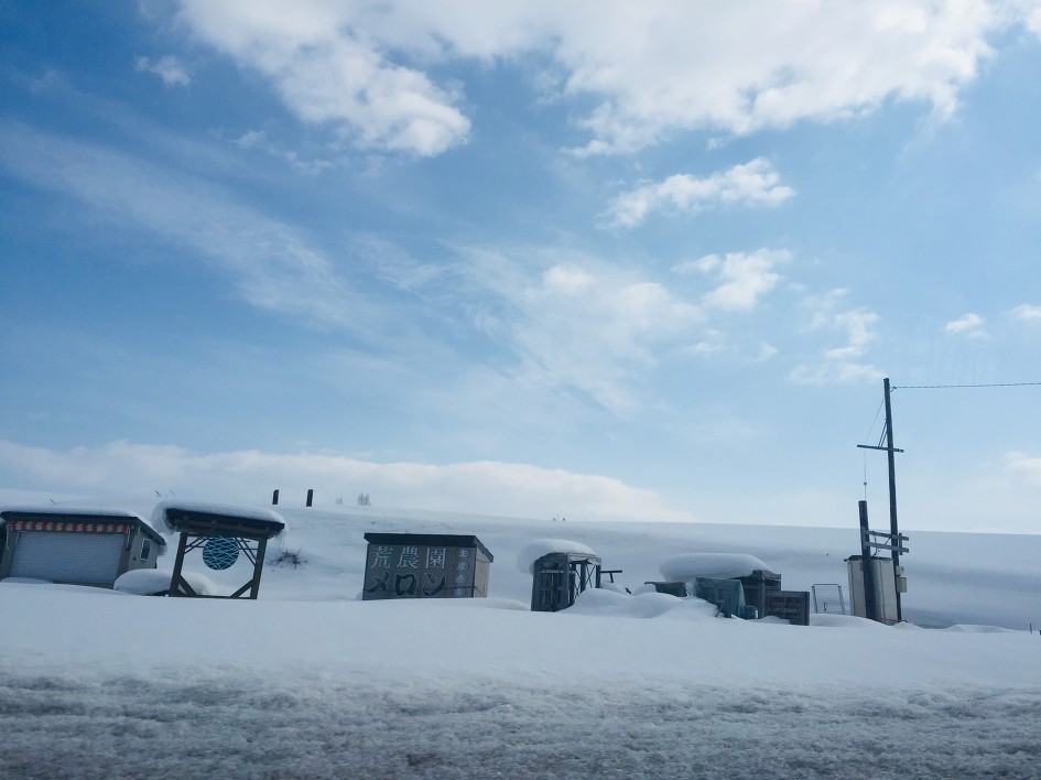 홋카이도(北海道)삿포로자유여행 삿포로 비에이 탁신관 준페이(새우덮밥) 흰수염폭포 