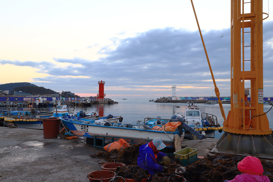 여명의 송정항 (2019.02.20.수)