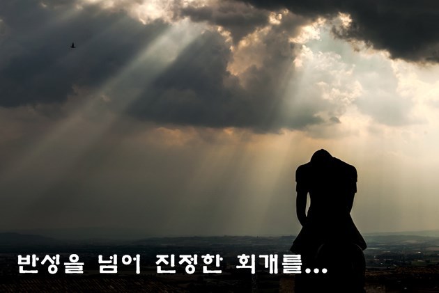 메타노이아2 이미지