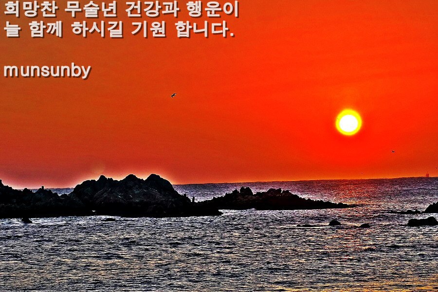 새해 복 많이 받으세요.