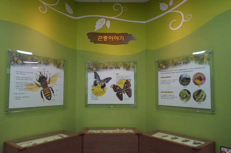 인천/부평숲 인천나비공원