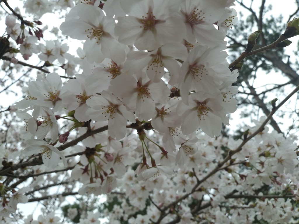 19.4.9(화)
