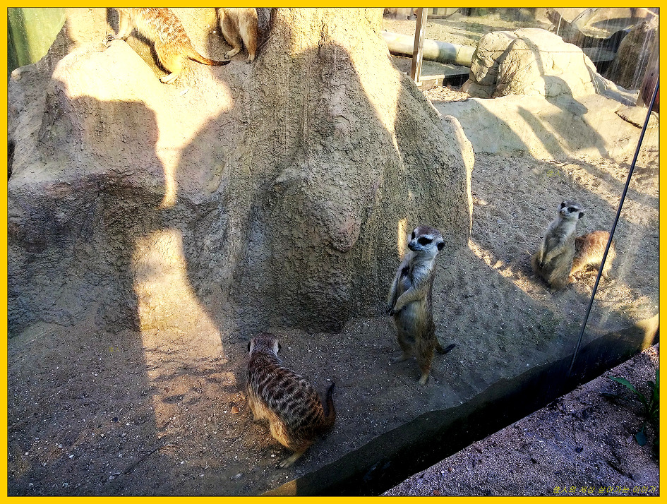 서울 대공원 동물원