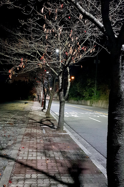 저녁 운동길에서 핸폰으로 담아보는 밤 풍경들