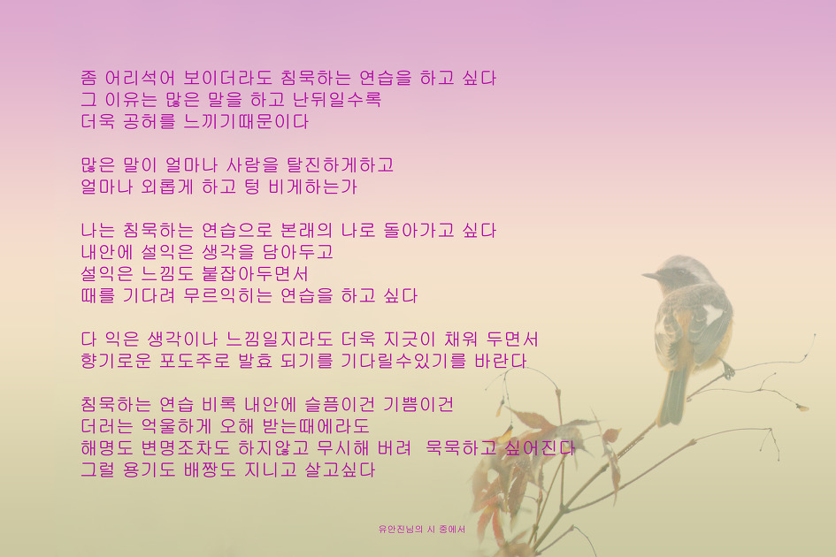 유안진님의 시 
