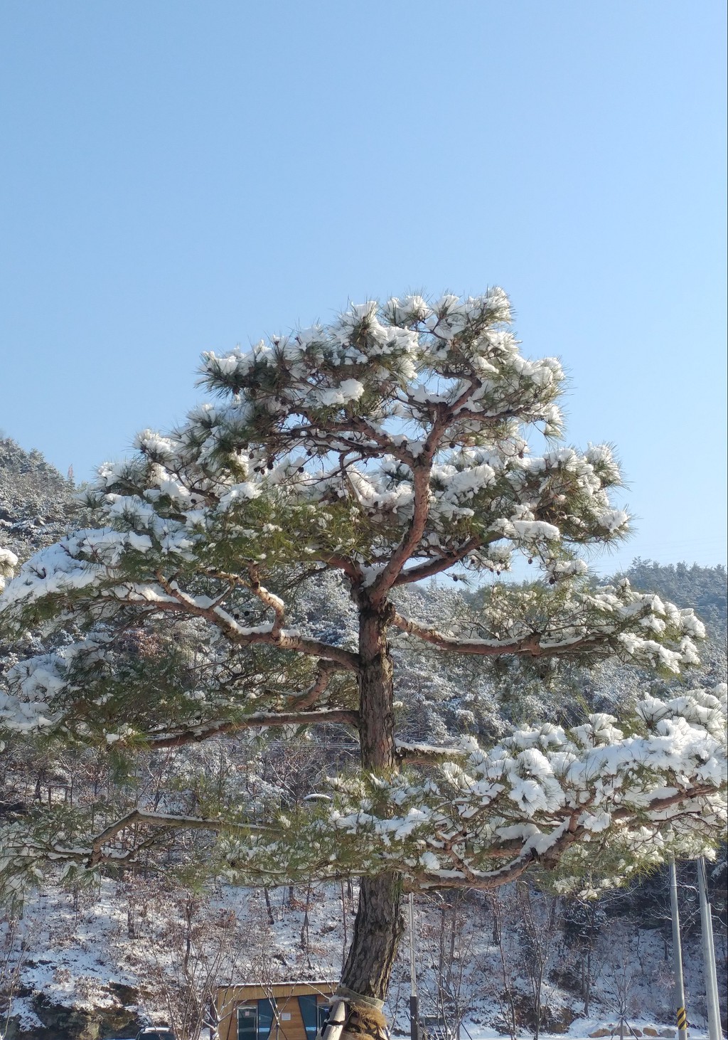 눈온후에 에코랜드