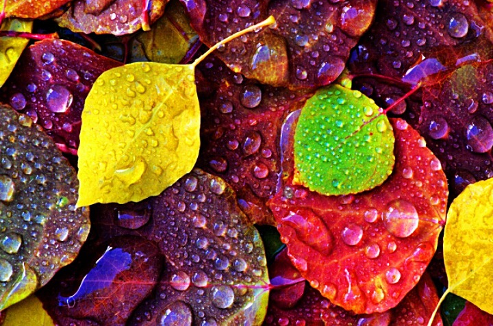 999BEC385DA805A419BA22