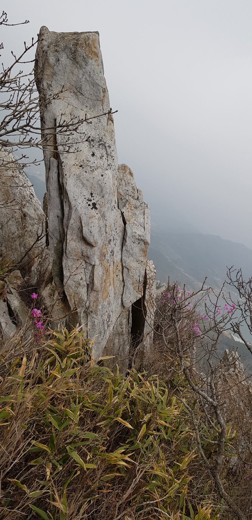 덕룡산2019,4,7)