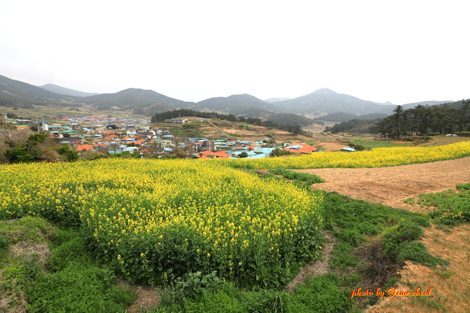 느림의 쉼표..청산도..2019.04.07 