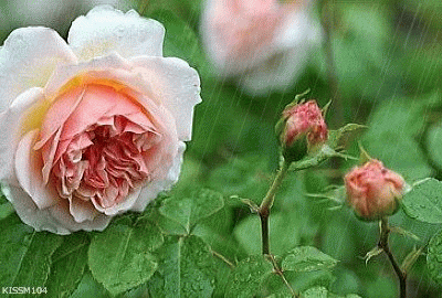 99AE5A435CEB585B2A3772