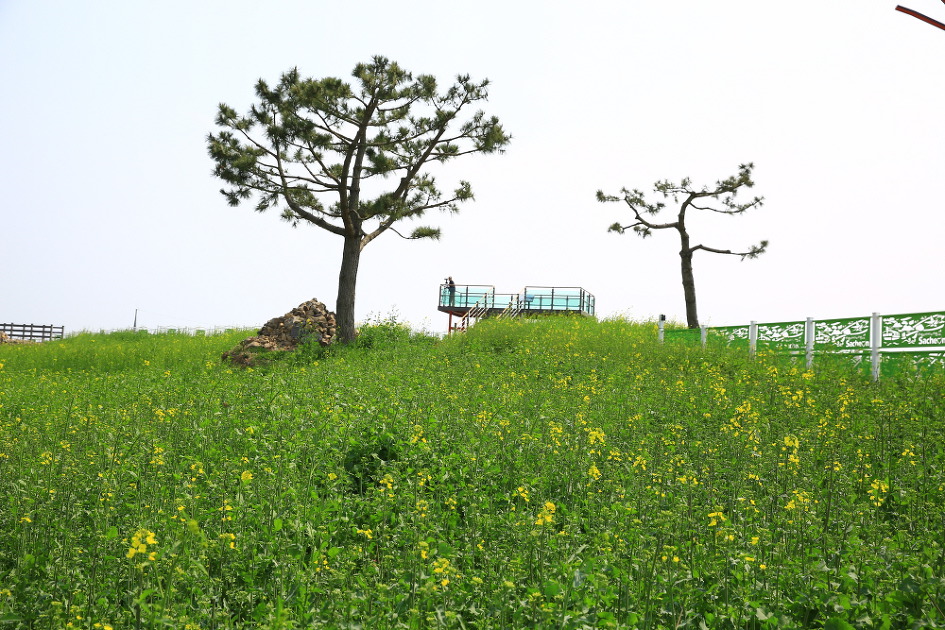 삼천포의 봄