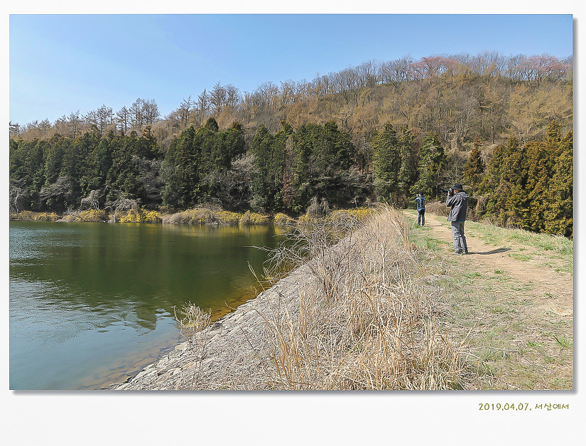 용비지의 봄이 오는 소리(2019.04.07)