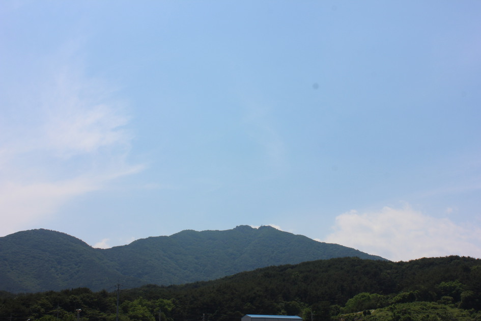 나의 벗