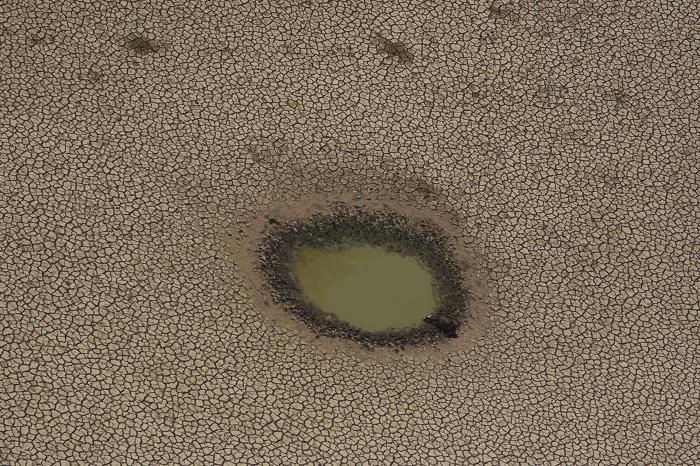 AMAZON -Worst Drought