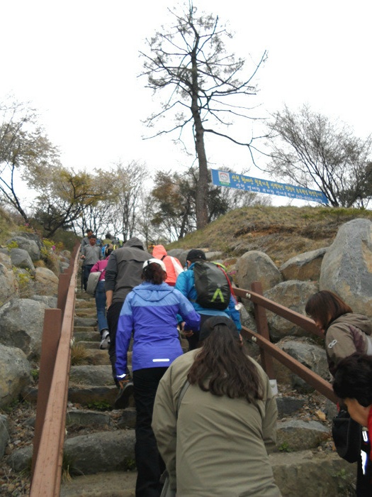 원본이미지(클릭)