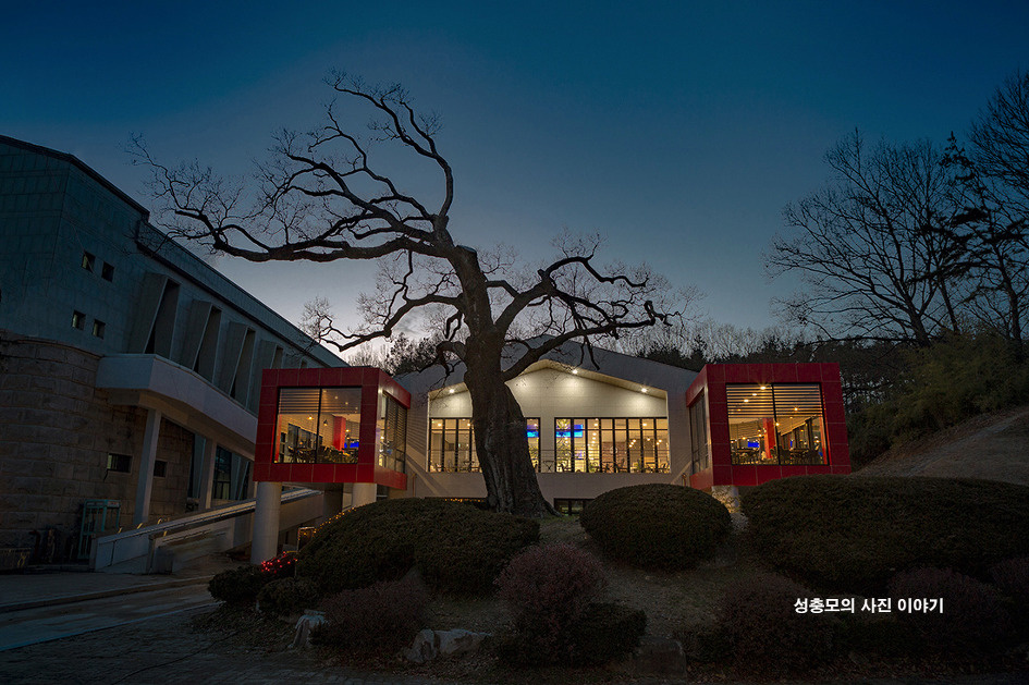 어느 Cafe