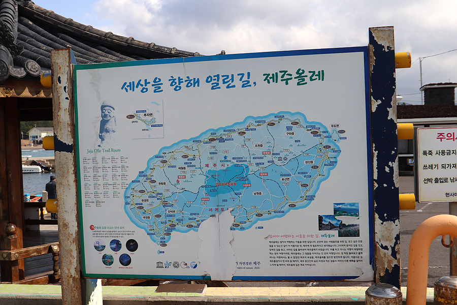 제주도 일상 4월 여행지 이호테우해수욕장