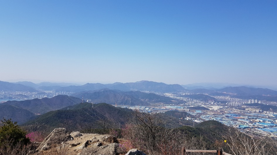불모산과 장복산 꽃길만 걸었다