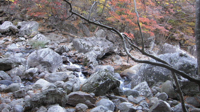 지리산 피아골 단풍 산행기