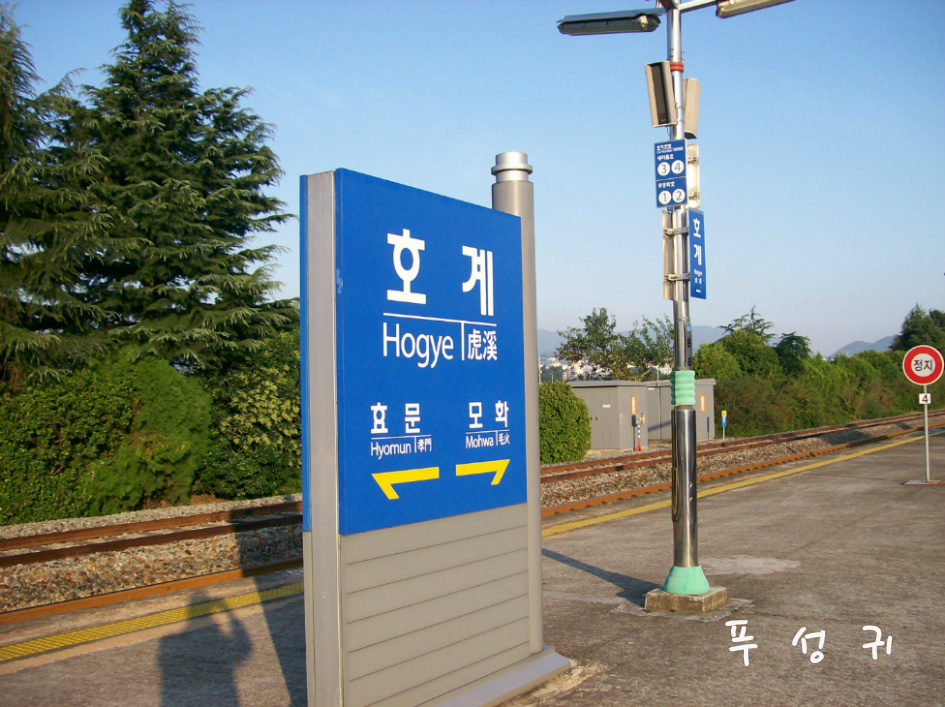 울산갑니다.