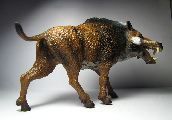 collecta daeodon